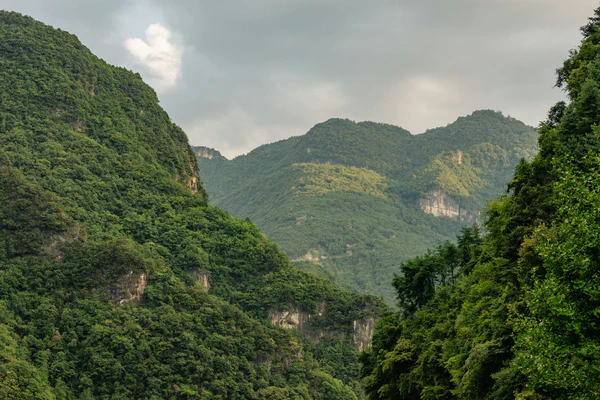 photographs/_DSC4150 (1).jpg