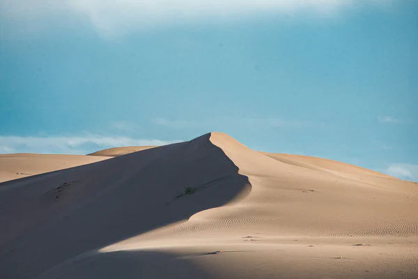 photographs/_DSC4293 (1).jpg