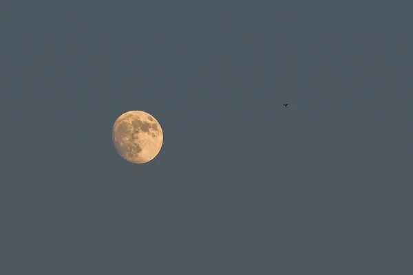 photographs/_DSC5388 (1).jpg